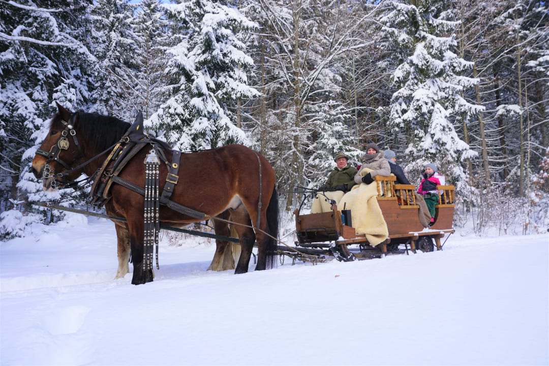 Sport & Freizeit Bayerwald-Ferienhof Schmid