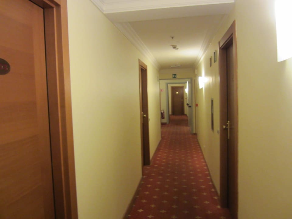 Flur Hotel Milton Roma