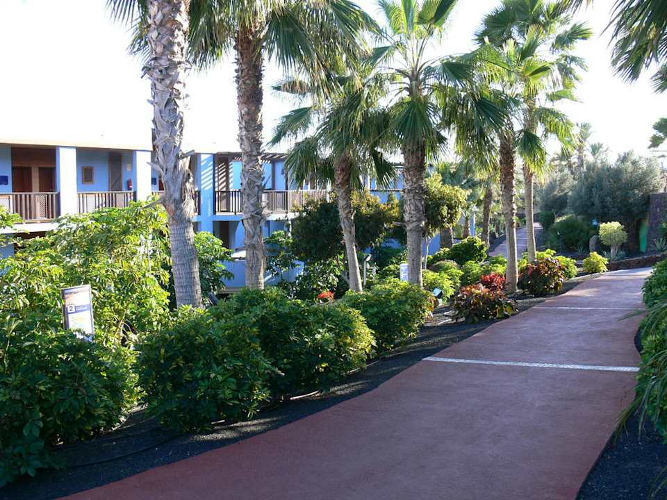 Garten Occidental Jandía Playa