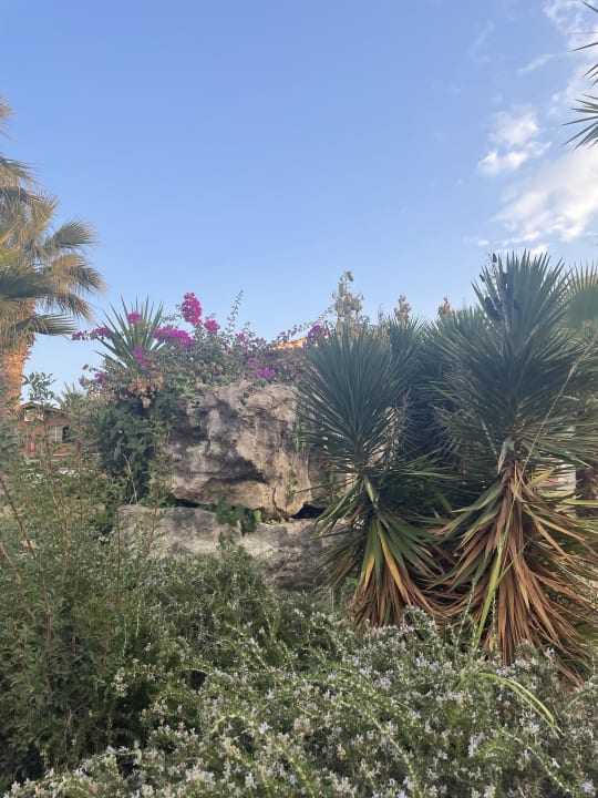 Gartenanlage Hotel Kouros Palace