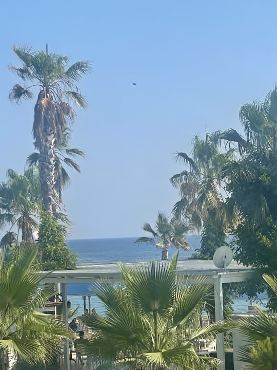 Gartenanlage Sultan of Dreams Hotel & Spa