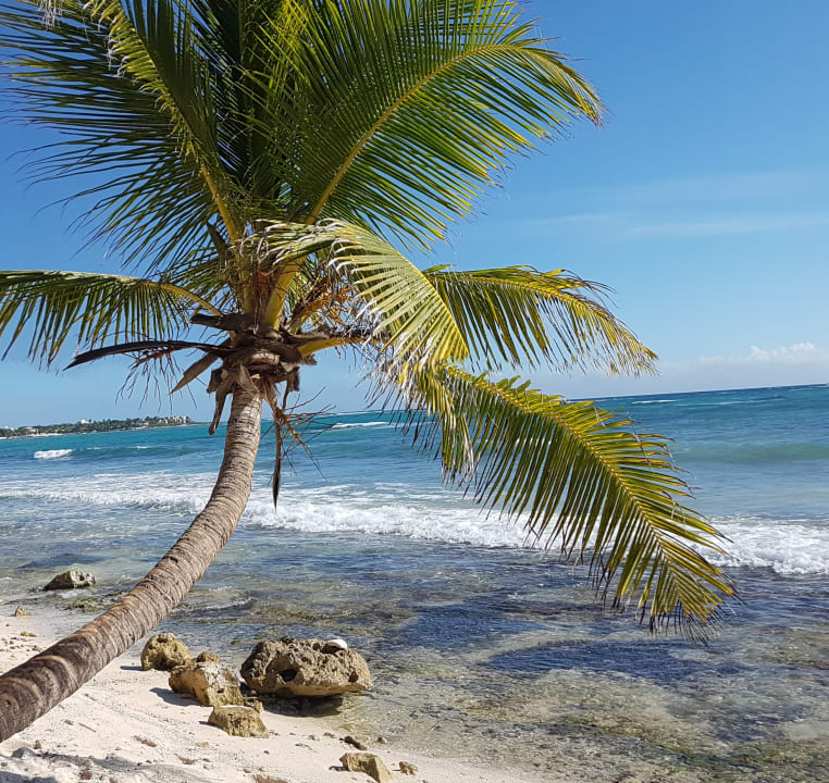 Strand Akumal Bay Beach & Wellness Resort