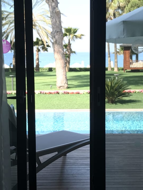 Zimmer Acanthus Cennet Barut Collection