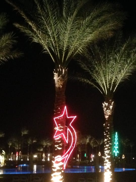 Weihnachten Cleopatra Luxury Resort Makadi Bay