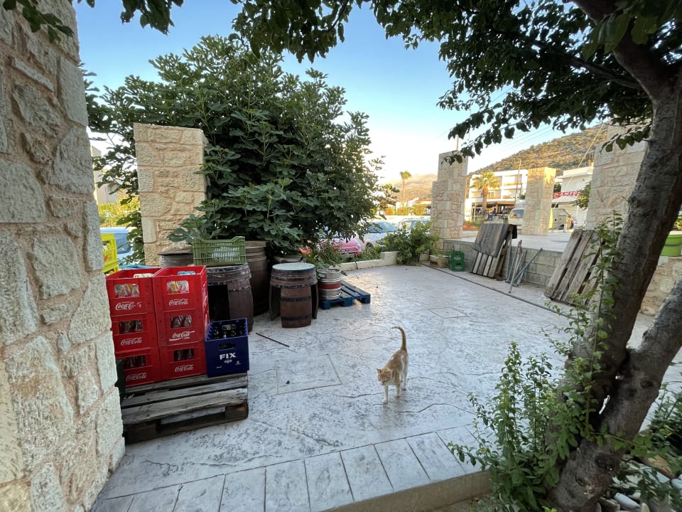 Sonstiges Malliotakis Beach Hotel by Checkin