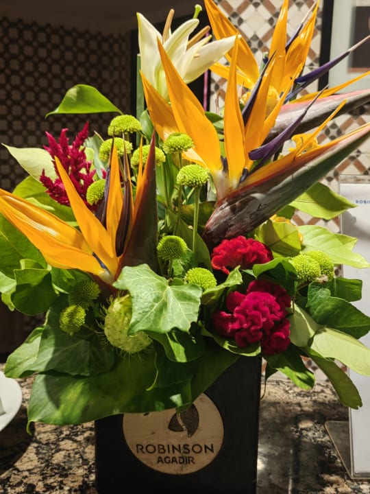 Sonstiges ROBINSON AGADIR