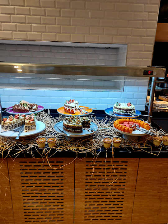 Gastro Seashell Vega