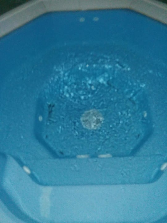 Dreck im Whirlpool Burghotel Haselünne