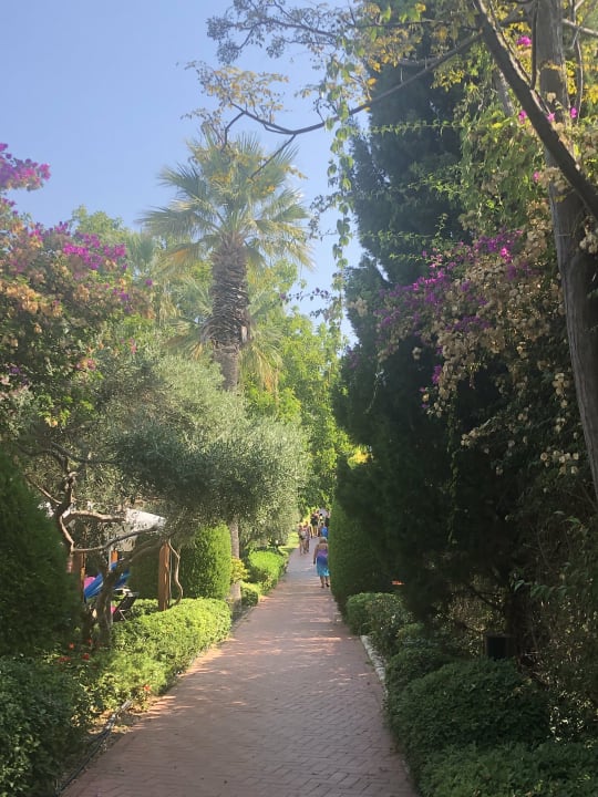 Gartenanlage Side Star Elegance