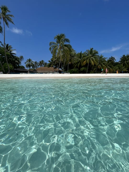 Strand Meeru Maldives Resort Island