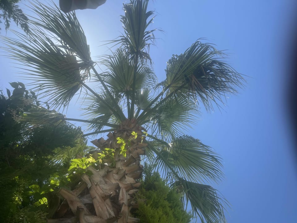 Gartenanlage Wyndham Garden Lara