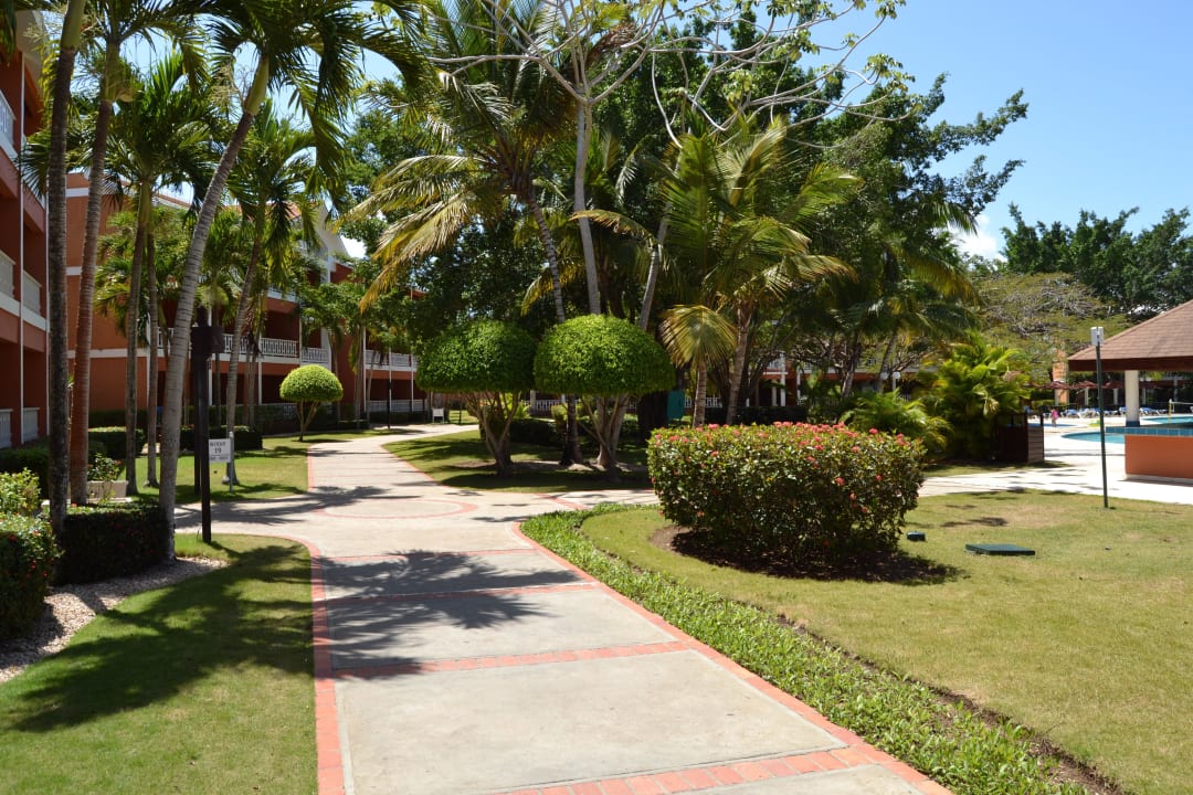 Andere Seite Pool BelleVue Dominican Bay