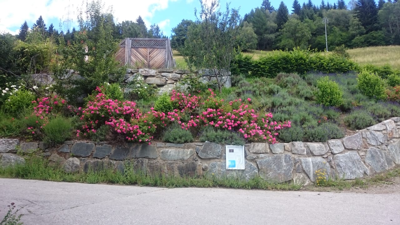 Gartenanlage Veganer Gasthof Zum Ederplan