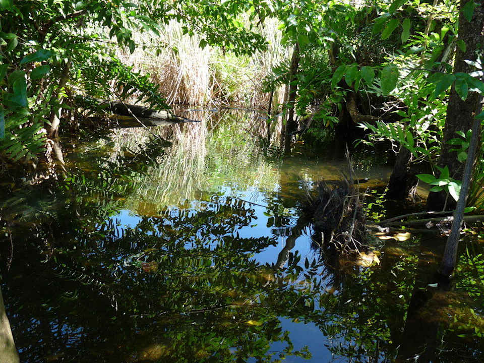 Natur pur Punta Cana Princess All Suites Resort & Spa