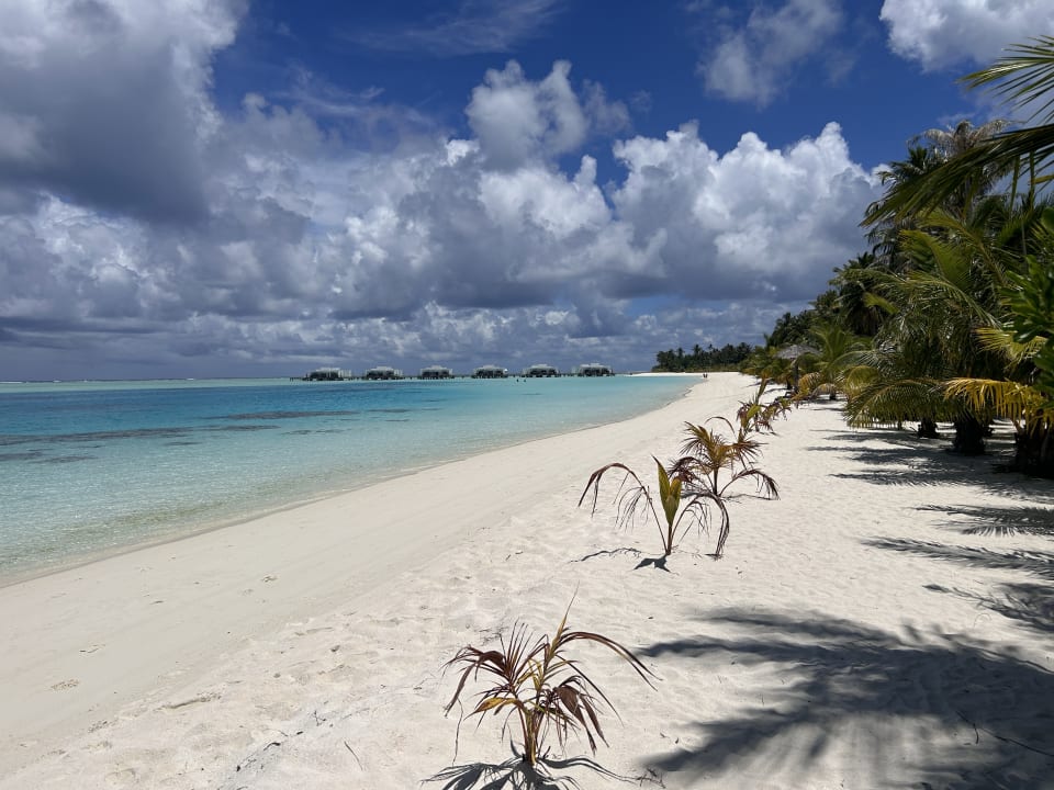 Strand Hotel Riu Palace Maldivas