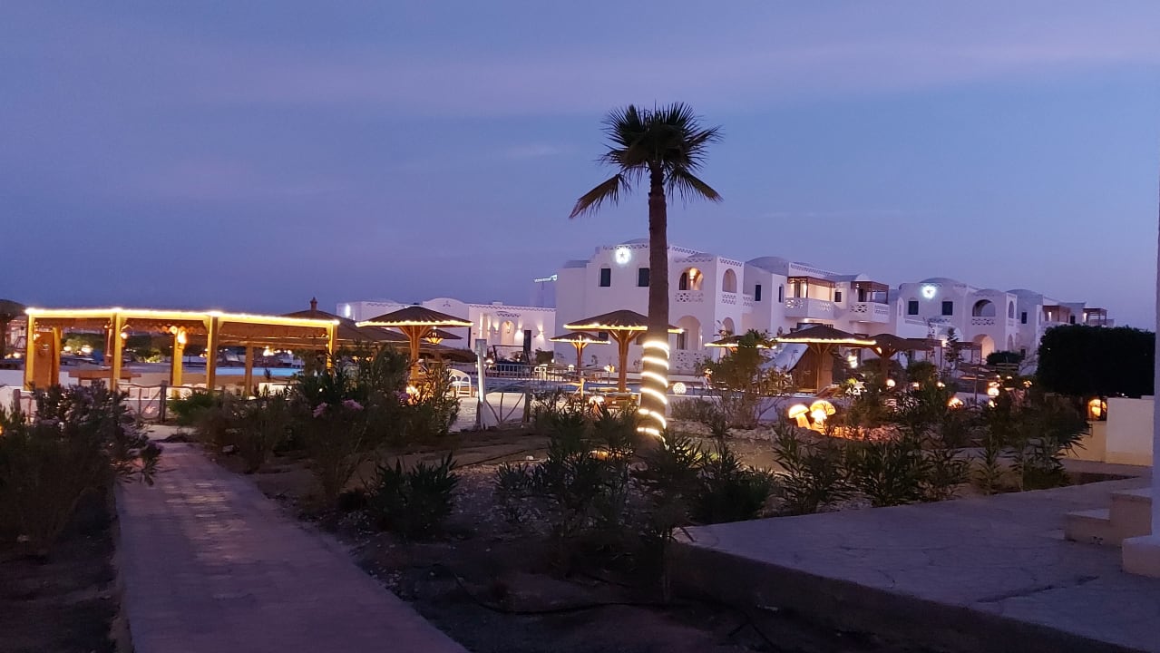 Pool Beach Safari Nubian Resort