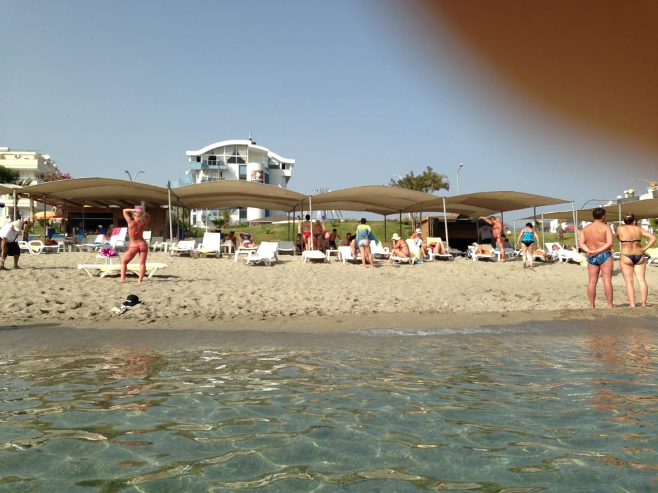 Strand Krizantem Katya Kaila Beach Hotel