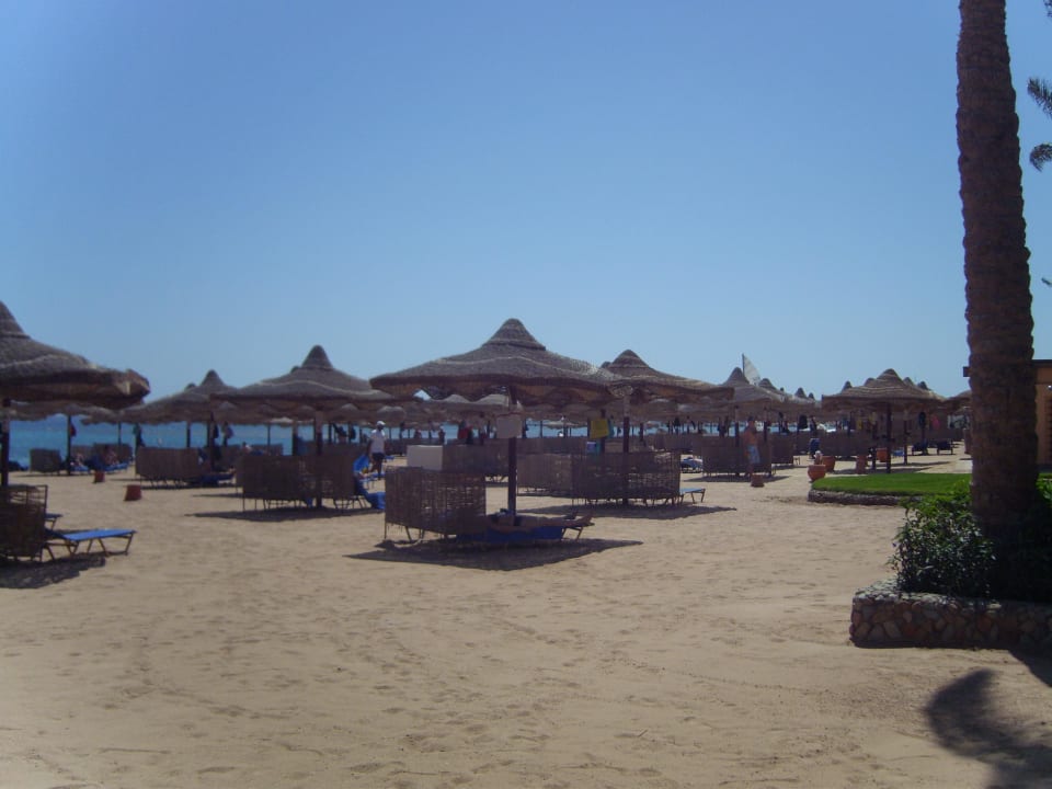 Immer ein Plätzchen frei! Iberotel Makadi Beach