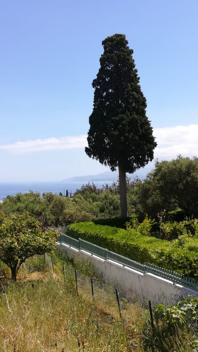 Ausblick Asterias Village Resort