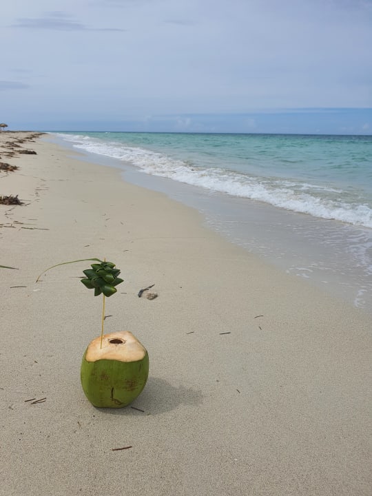 Strand Paradisus Princesa del Mar Resort & Spa - Adults only