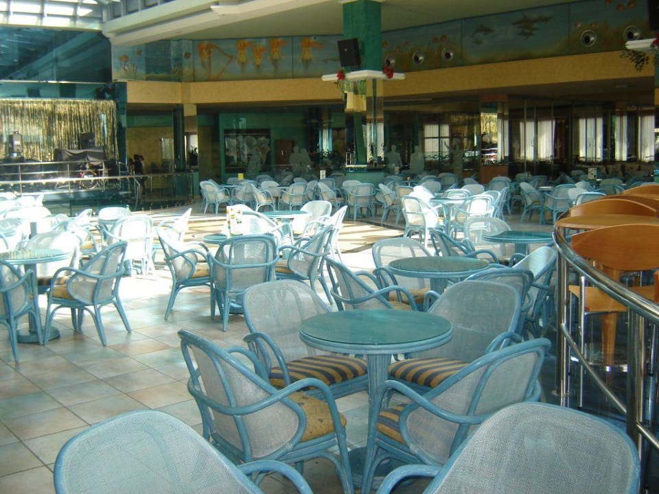 Barbereich Hotel Kaktus Albir