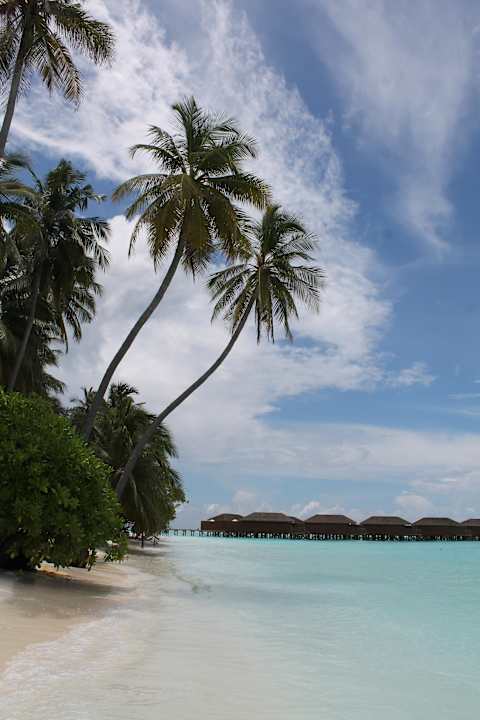 Meeru Island Resort & Spa Meeru Maldives Resort Island