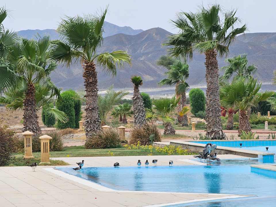 Pool Lahami Bay Beach Resort