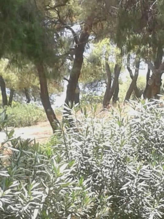 Vom Balkon Philoxenia Hotel