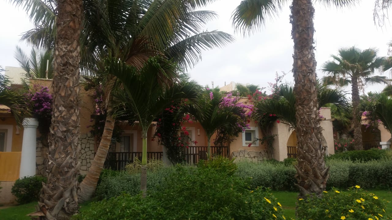 Gartenanlage VOI Praia De Chaves Resort