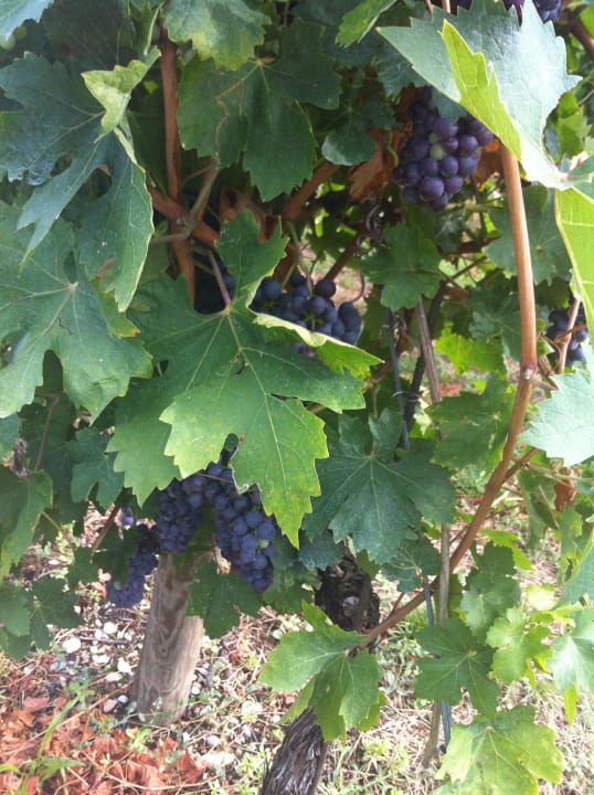 Reben Holiday Home Quercia Belvedere Relais