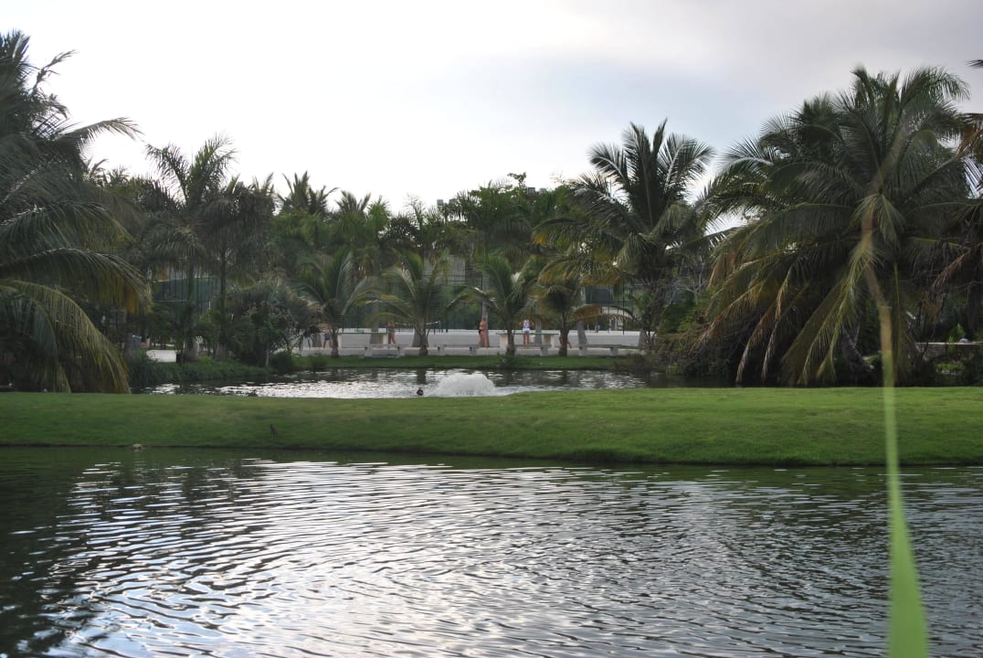 Blick aus dem Fenster Zimmer 4625 Villas Bavaro Resort & Spa