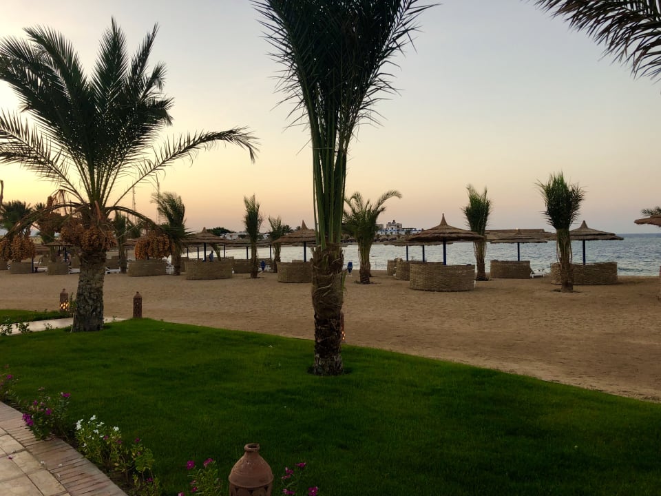 Strand Coral Sun Beach