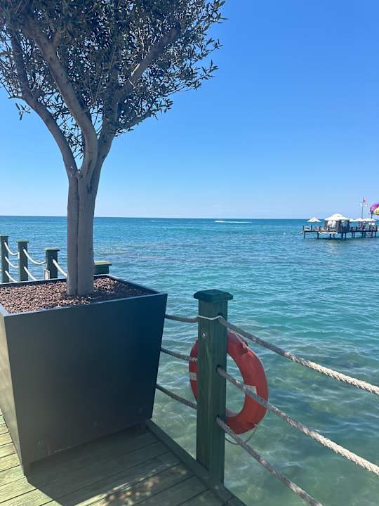 Strand Arum Barut Collection