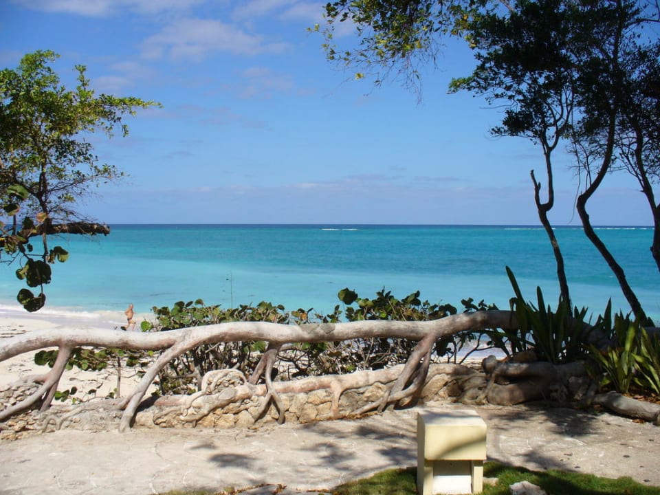 Morze Paradisus Rio de Oro Resort & Spa - Adults only