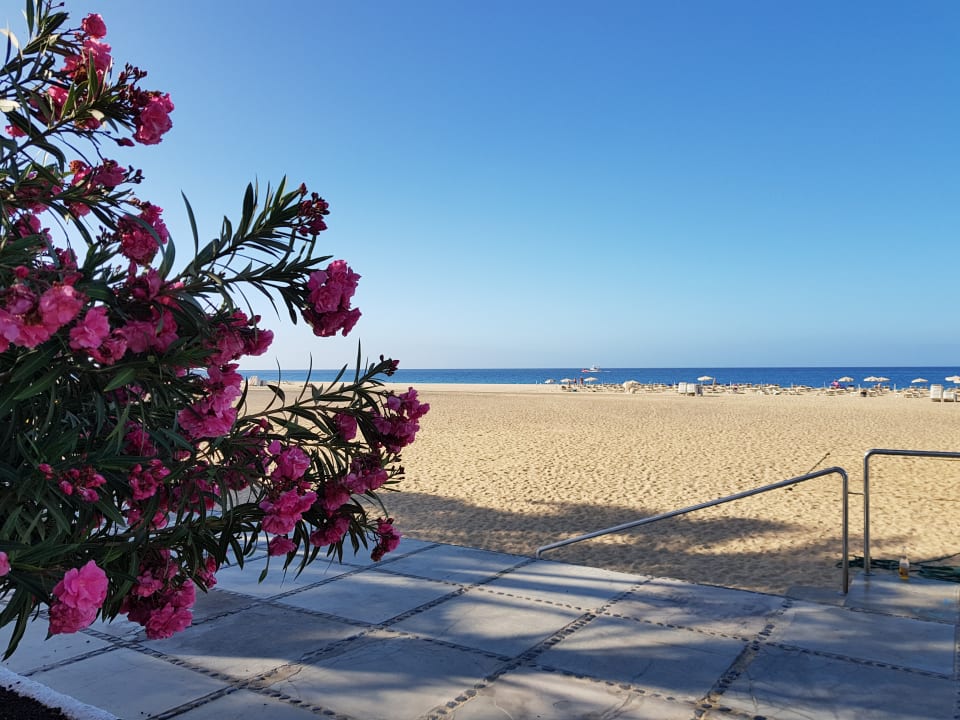 Strand ROBINSON JANDIA PLAYA