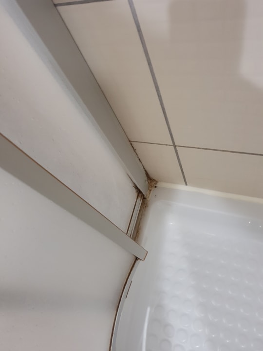 Zimmer Starlight Resort Hotel