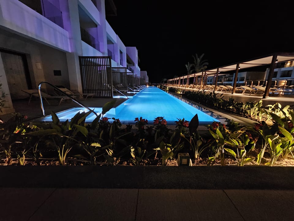 Zimmer JAZ Elite Amara