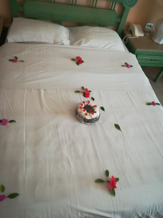 Zimmer Giftun Azur Resort