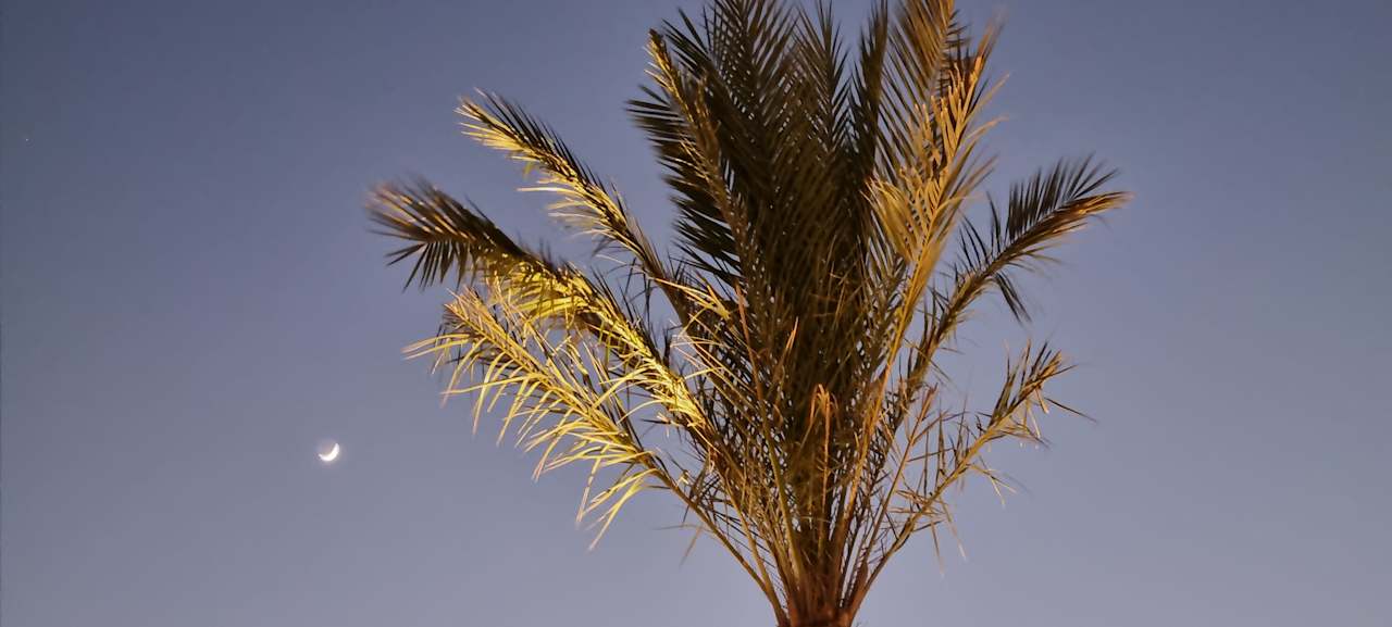 Sonstiges JAZ Elite Asteria