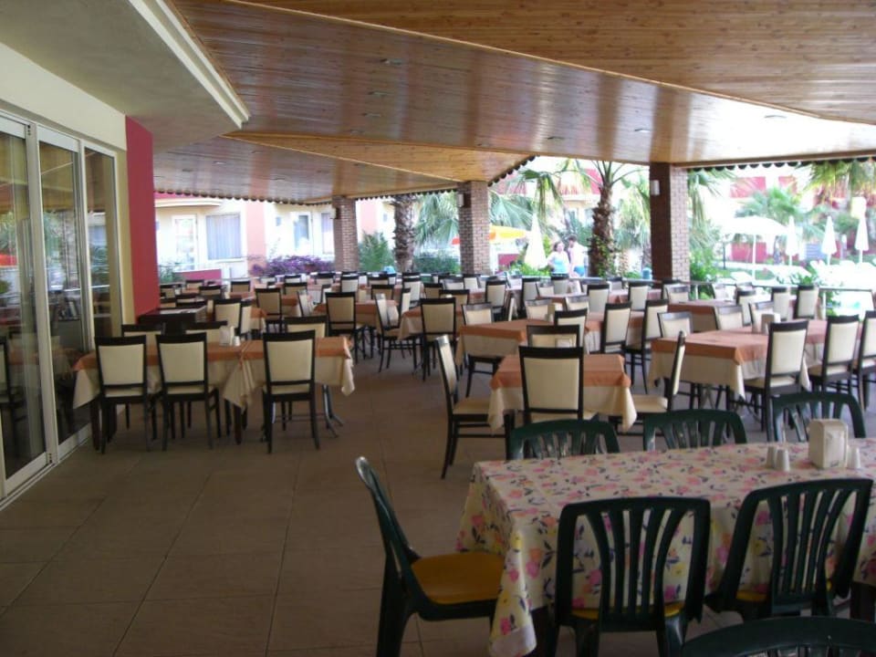 Hotel Terrasse Hotel Orfeus Park