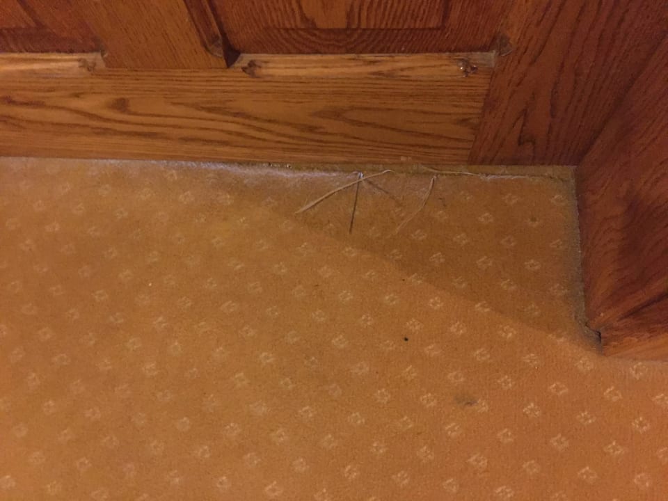 Flur Paradise Bay Resort Hotel