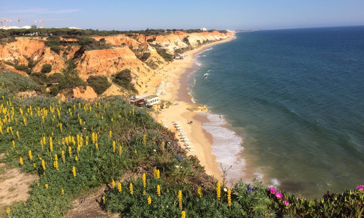Praia Falesia,Blick von Hotelnähe 3HB Guaraná - All Inclusive