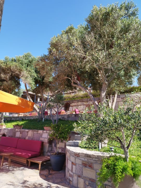 Gartenanlage Arum Barut Collection