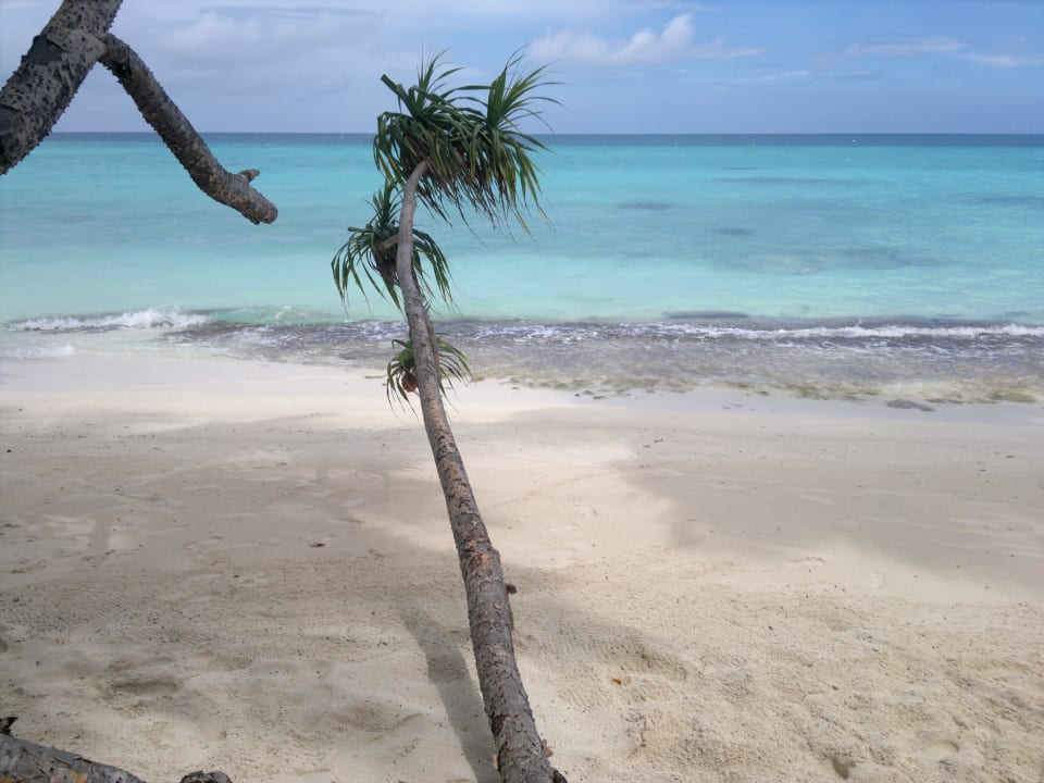 Postkartenmotiv  Kuramathi Maldives