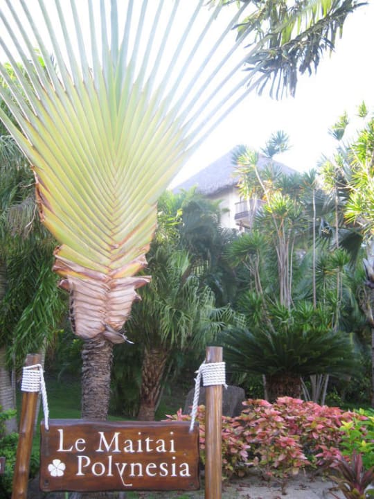 Hotel Le Maitai Polynesia Hotel Le Maitai Polynesia