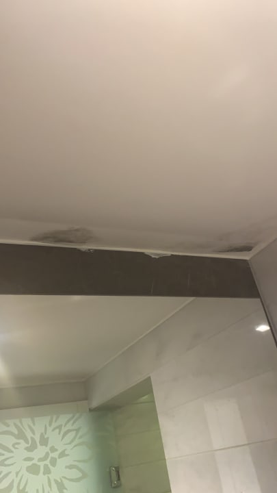 Zimmer Gold Island Selected