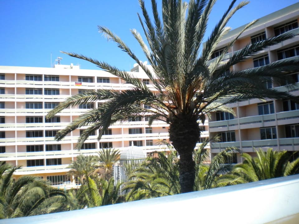 Aus dem Zimmer Abora Buenaventura by Lopesan Hotels