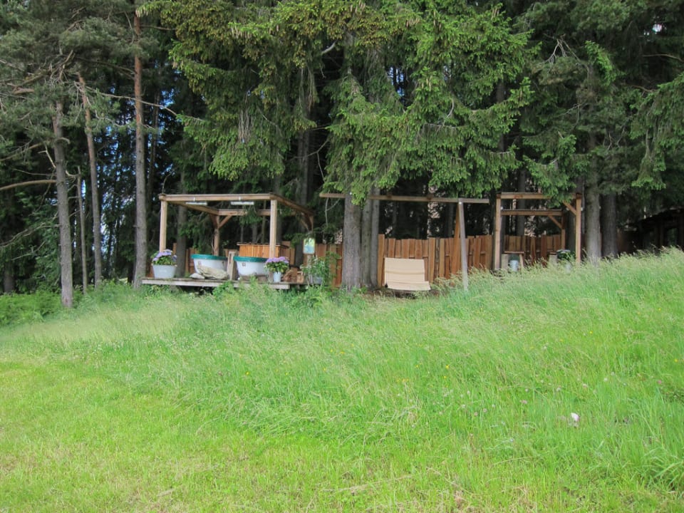 "Waldbad" PRIESTEREGG Premium ECO Resort