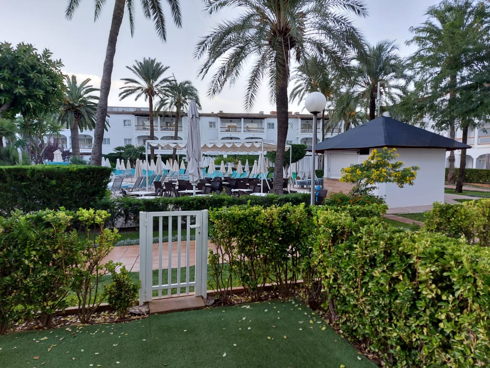 Pool Alcudia Garden Aparthotel