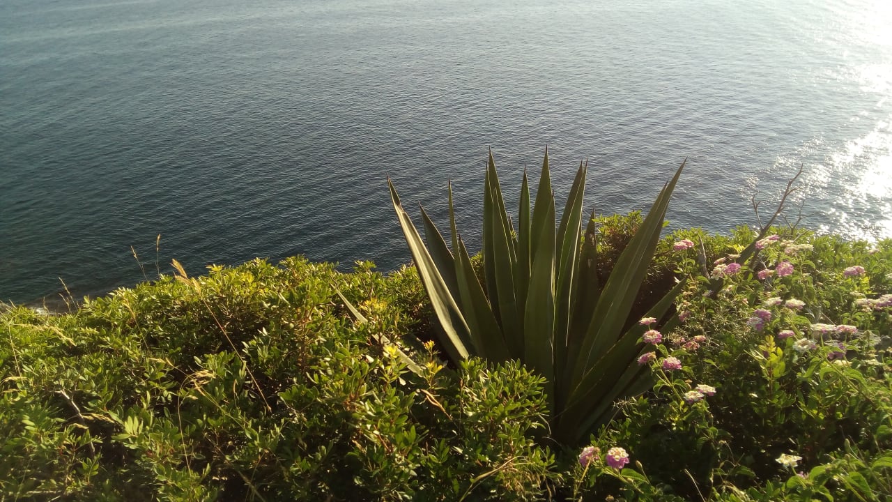 Ausblick Sun Club Eldorado